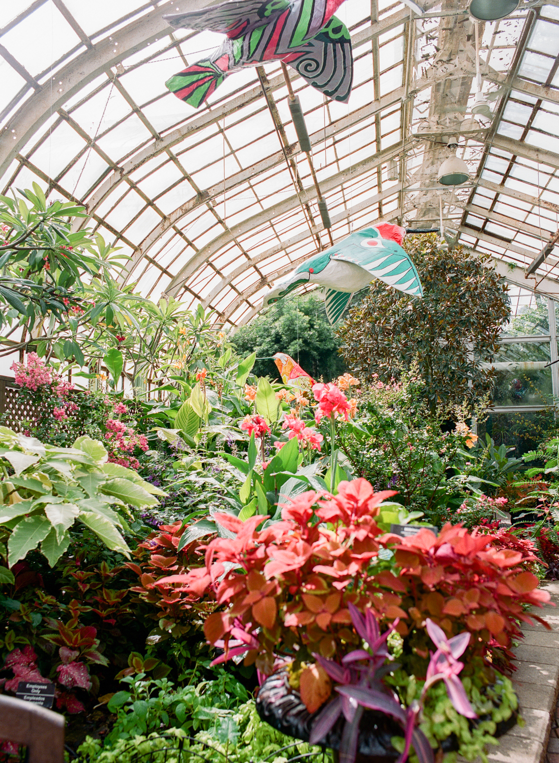 Lincoln Park Conservatory, Chicago