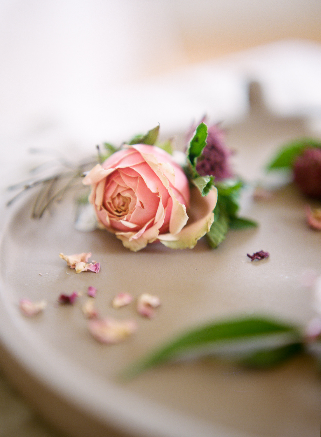 Pink floral boutonniere by Magnolia Belle Floral, St. Louis Fine Art Film Wedding Photographer Erica Robnett Photography