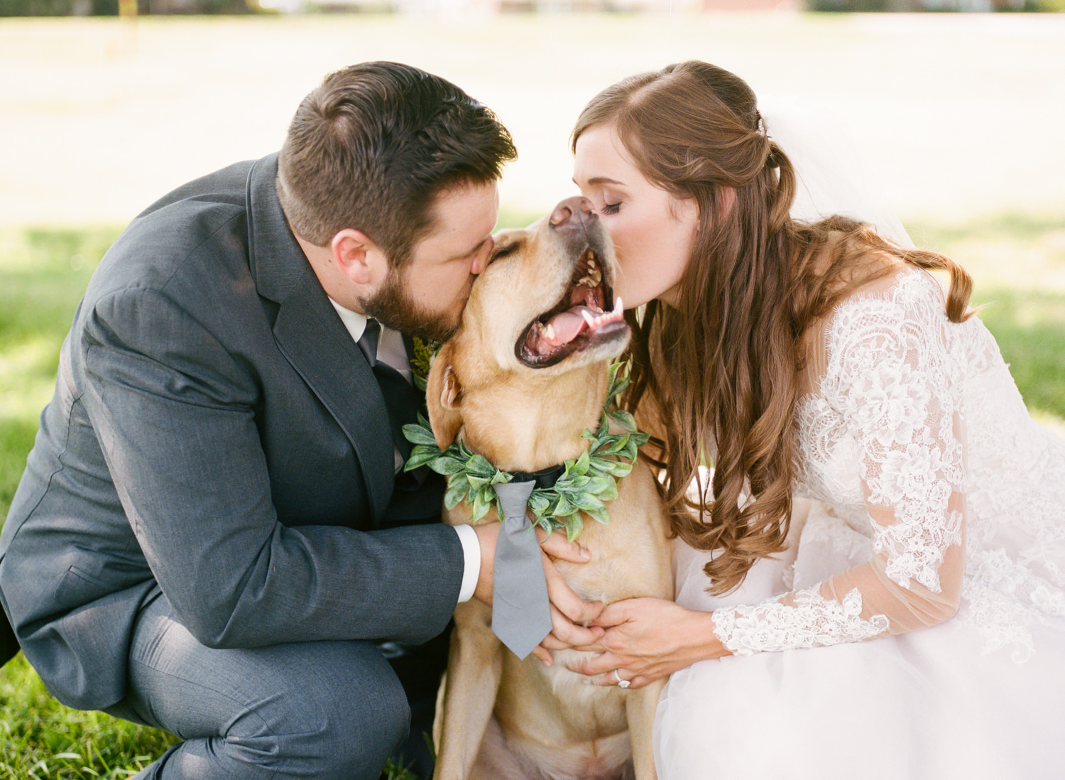 Bride and groom kissing yellow lab dog; St. Louis wedding photographer