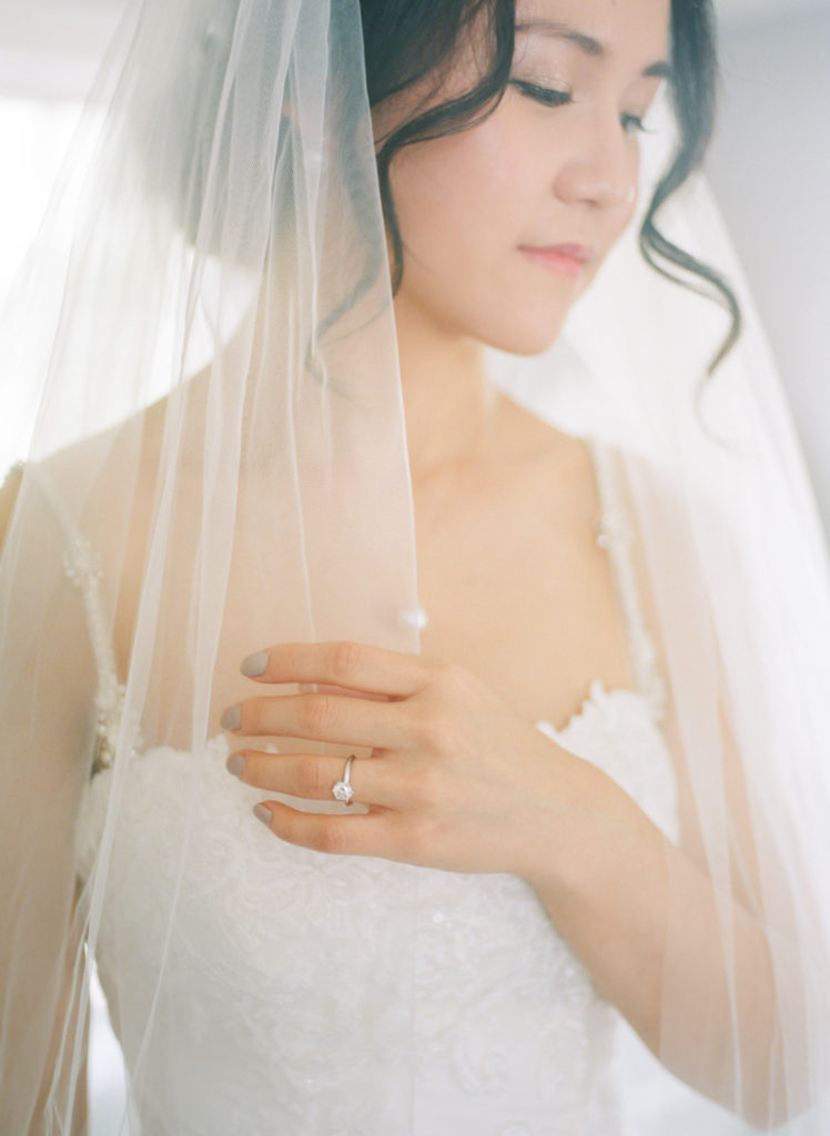 Bridal portrait at Defiance Ridge Vineyards; St. Louis fine art film wedding photographer Erica Robnett Photography