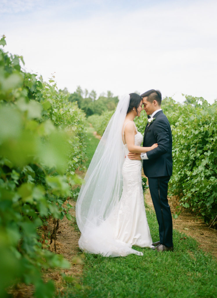Bride and groom portrait at Defiance Ridge Vineyards; St. Louis fine art film wedding photographer Erica Robnett Photography