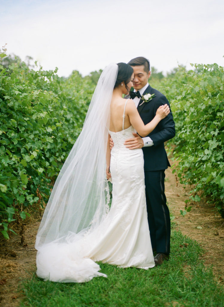 Bride and groom portrait at Defiance Ridge Vineyards; St. Louis fine art film wedding photographer Erica Robnett Photography