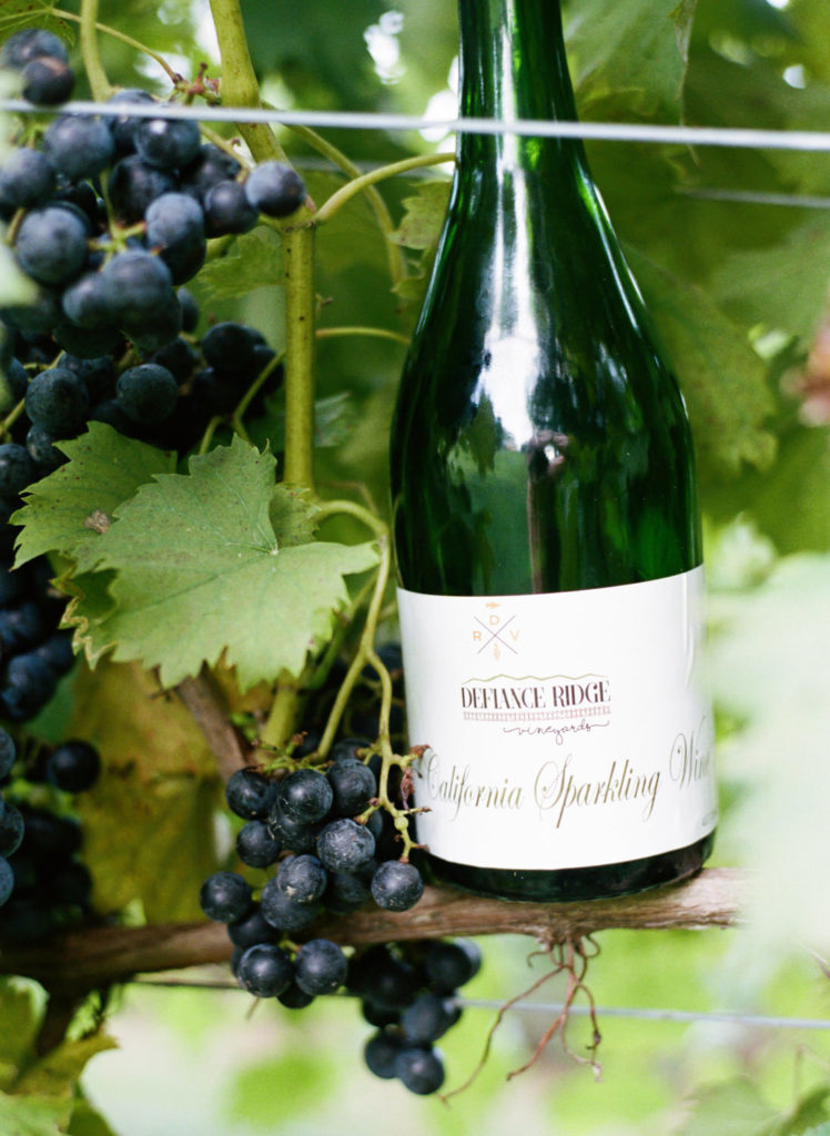 Vineyards at Defiance Ridge Vineyards; St. Louis fine art film wedding photographer Erica Robnett Photography