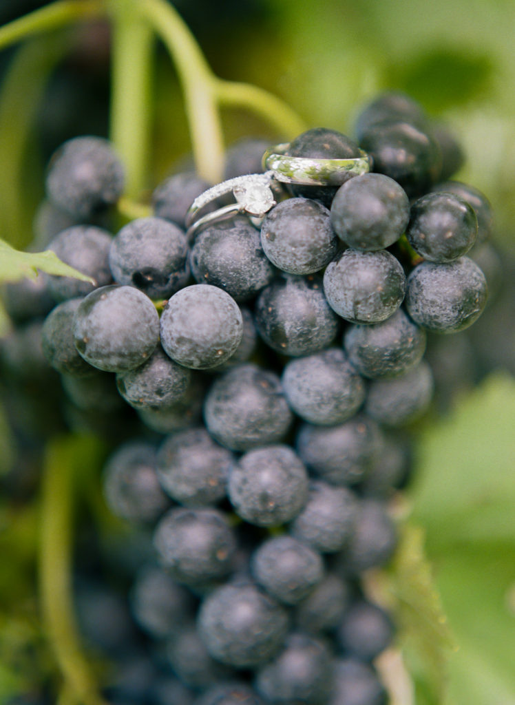 Wedding rings on grapes; St. Louis fine art film wedding photographer Erica Robnett Photography