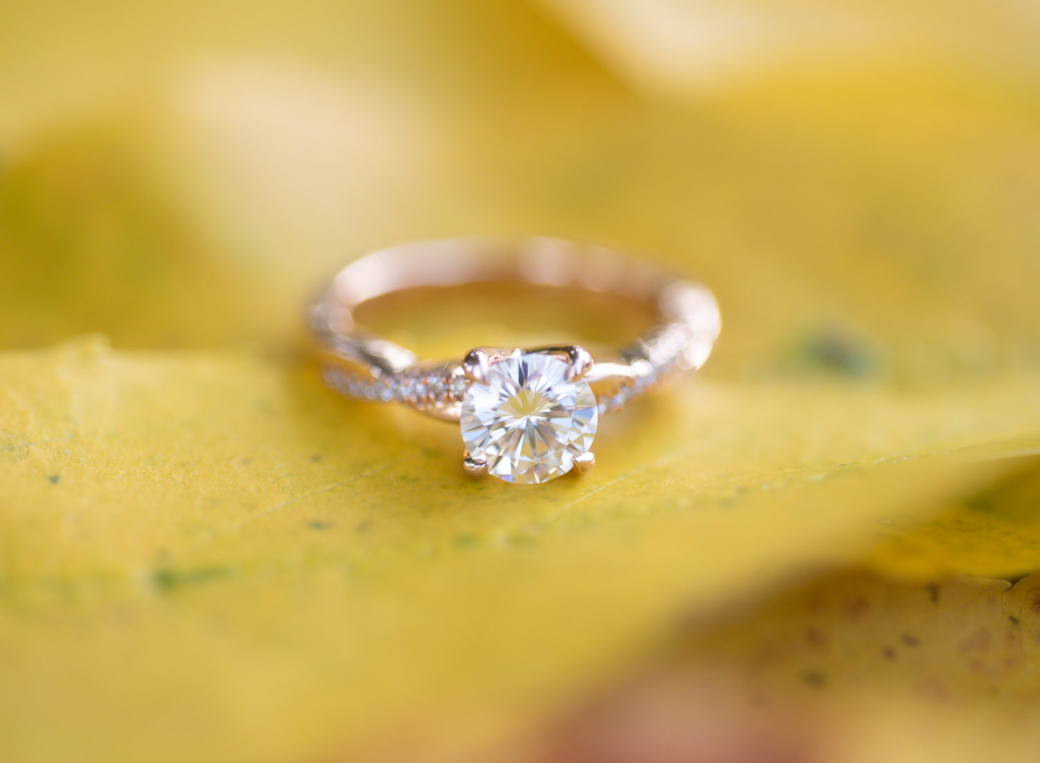 Rose gold diamond ring on a yellow leaf; St. Louis fine art film wedding photographer Erica Robnett Photography