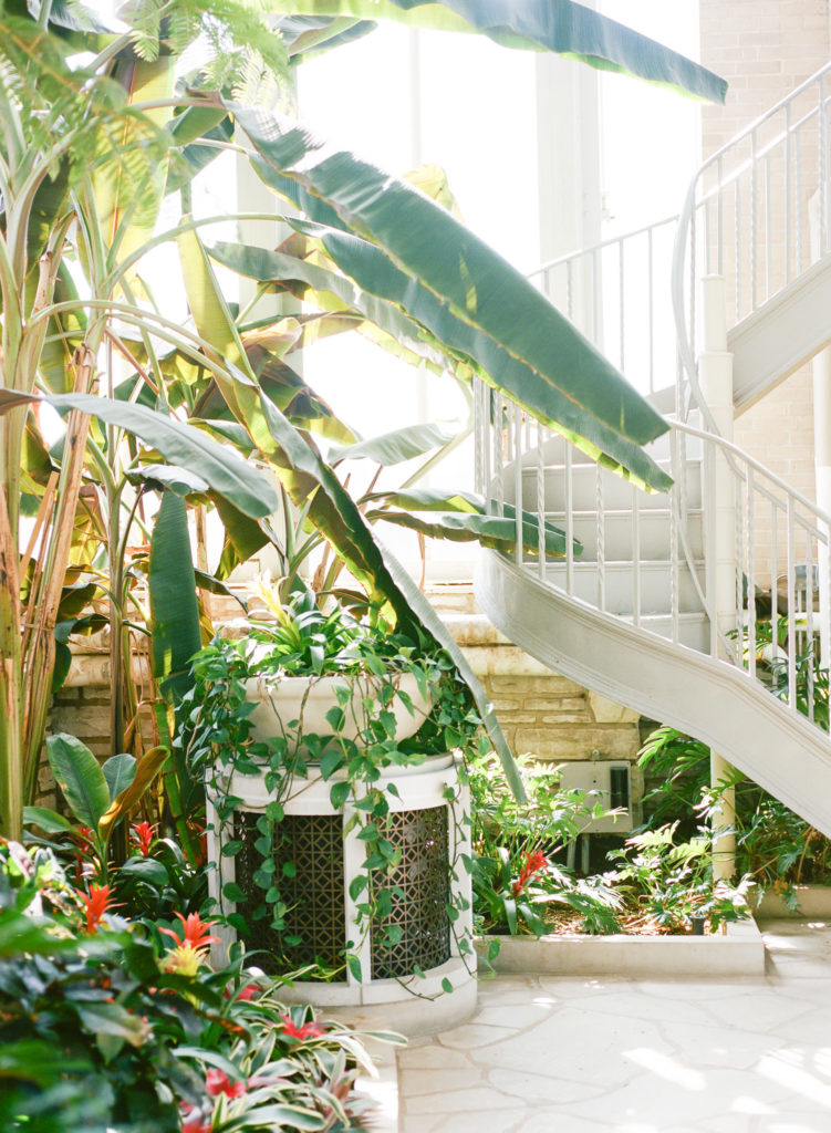 St. Louis wedding venue Forest Park Jewel Box; St. Louis wedding photographer Erica Robnett Photography