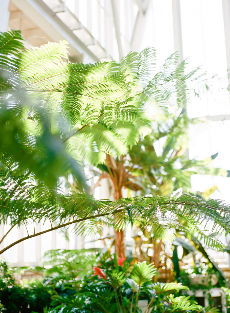 St. Louis wedding venue Forest Park Jewel Box; St. Louis wedding photographer Erica Robnett Photography